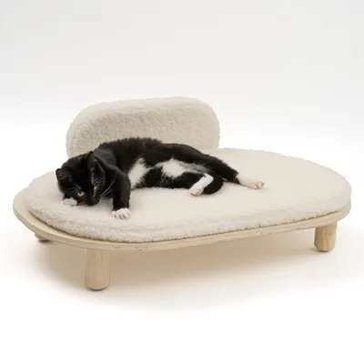 Katzenbett mit Holzrahmen und weicher, weisser Polsterung. Schwarze Katze liegt entspannt darauf.