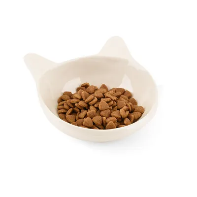 Keramische voerbak in kattenvorm, gevuld met bruine brokjes droogvoer.
