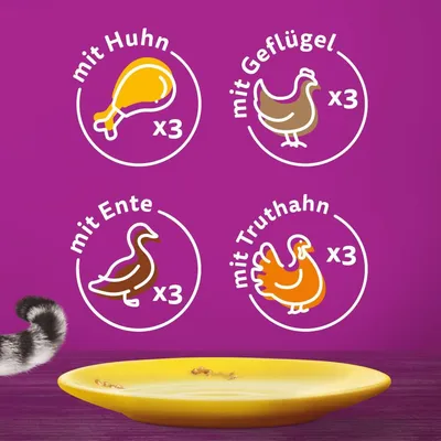 Produktbeschreibung: mit Huhn x3, mit Geflügel x3, mit Ente x3, mit Truthahn x3. Gelber Teller im Vordergrund auf violettem Hintergrund.