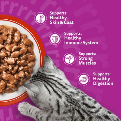 Whiskas 1+ Meaty Meals in Gravy