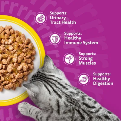 Whiskas 11+ Senior Pouches in Jelly - Poultry Feasts in Jelly (48 x 85g)
