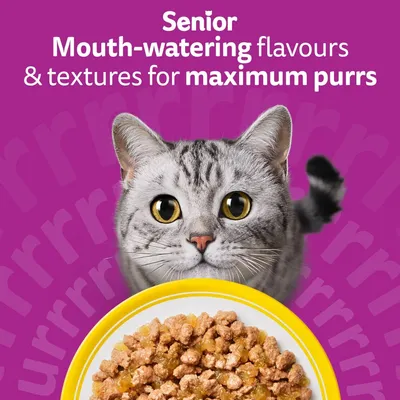 Whiskas 11+ Senior Pouches in Jelly - Poultry Feasts in Jelly (48 x 85g)