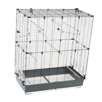 Wire cage with multiple wooden perches, clear plastic feeders, and a deep removable base tray for easy cleaning. Suitable for housing small animals or birds.