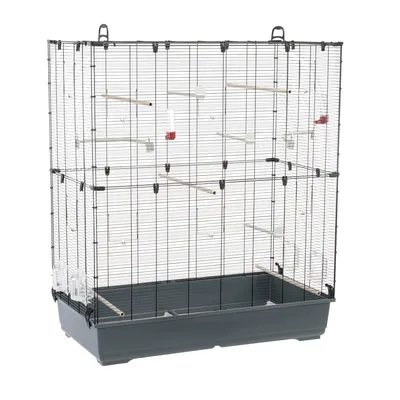 Large wire cage with multiple wooden perches, plastic feeders, water dispensers and a deep plastic base tray. Suitable for housing small animals or birds.