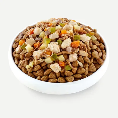 Bowl with dry food and fresh ingredients such as chicken, carrots, courgette and potatoes. Mix of kibble and natural pieces visible.