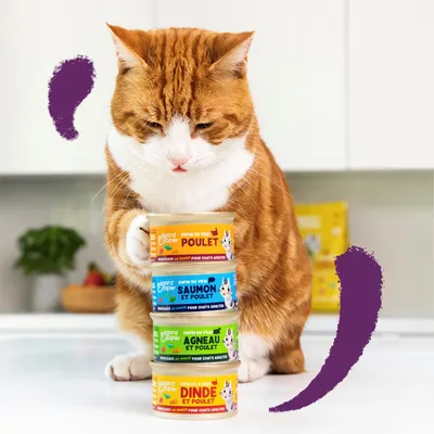 Rode kat met vier Edgard & Cooper natvoerblikken: Poulet, Saumon et Poulet, Agneau et Poulet, Dinde et Poulet. Blikjes tonen tekst voor volwassen katten.