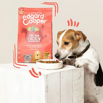Edgard Cooper hondenvoer voor senior honden, Magnificent Free-Run Chicken & Norwegian Salmon, Grain-Free. Hond naast voerbak en verpakking met zichtbare merknaam en productinformatie.