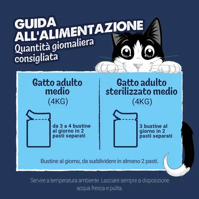 Megapack Felix Sfilaccetti Rustici in Buste 120 x 80 g - Selezione mista in Salsa Megapack Felix Sfilaccetti Rustici in Buste 120 x 80 g - Selezione mista in Salsa