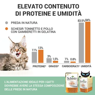 Grafico a barre: confronto tra preda in natura e Schesir Tonnetto e Pollo con Gamberetti in Gelatina per proteine, grassi, carboidrati, umidità. Testo: elevato contenuto di proteine e umidità.