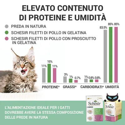 Grafico a barre: confronto tra preda in natura, Schesir filetti di pollo in gelatina e con prosciutto per proteine, grassi, carboidrati, umidità. Testo: alimentazione ideale per gatti.