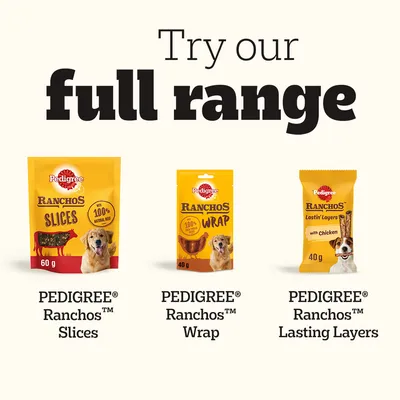 Trzy opakowania przysmaków dla psów: PEDIGREE Ranchos Slices 60 g, PEDIGREE Ranchos Wrap 40 g, PEDIGREE Ranchos Lasting Layers with Chicken 40 g. Widoczne nazwy i gramatury.