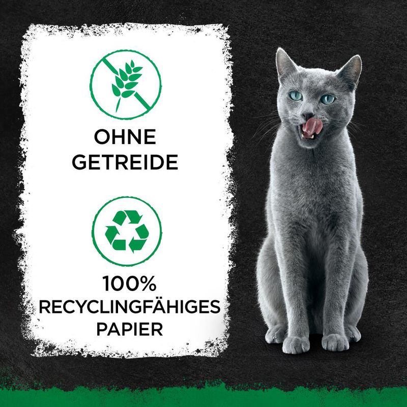 OHNE GETREIDE, 100% RECYCLINGFÄHIGES PAPIER — текст на немецком языке рядом с изображением серой кошки.