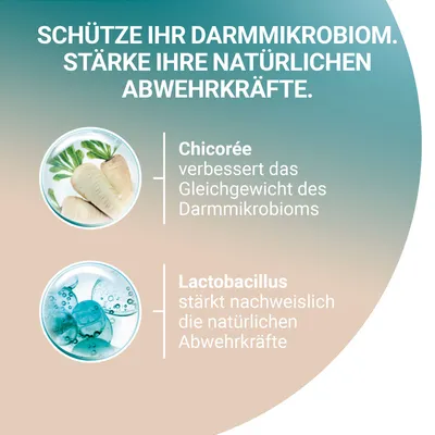 Texte en allemand : Chicorée améliore l’équilibre du microbiome intestinal, Lactobacillus renforce les défenses naturelles. Schütze Ihr Darmmikrobiom. Stärke Ihre natürlichen Abwehrkräfte.