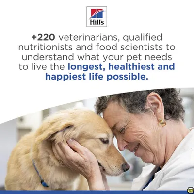 Hill's Science Plan Adult Hypoallergenic lazac