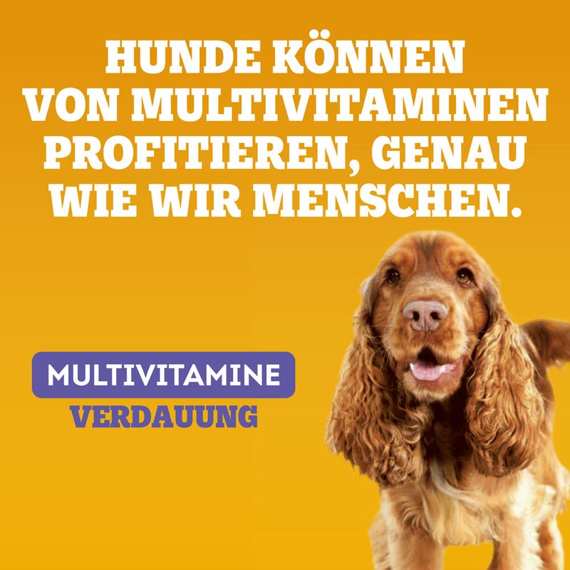 Pedigree Multivitamins Verdauung