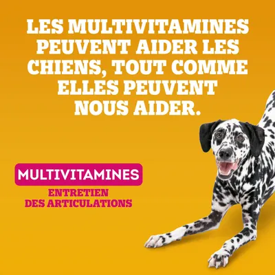 Pedigree Multivitamins Entretien des articulations pour chien