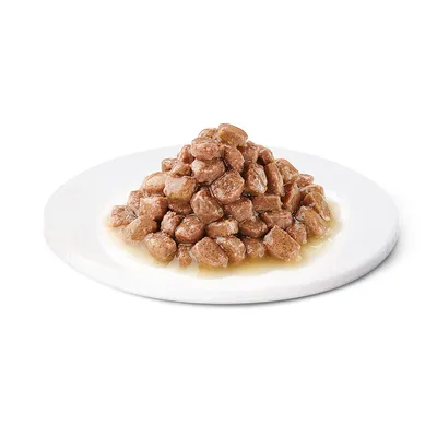 Morceaux de nourriture humide en sauce servis sur une assiette blanche, sans emballage ni marque visible.