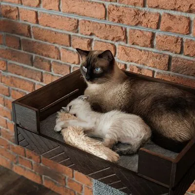 Modern Living възглавница за игра на котки Berna с котешка мента