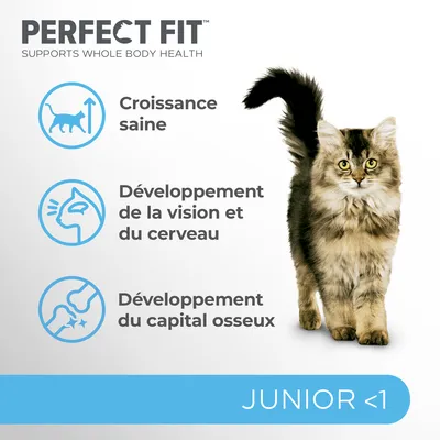 PERFECT FIT Croissance saine, Développement de la vision et du cerveau, Développement du capital osseux, JUNIOR <1. Texte en anglais : Supports whole body health.