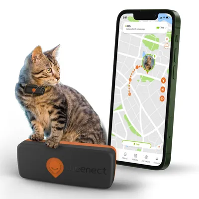 Localizzatore GPS per gatti Weenect XS - collare incluso - nero, con collare nero incluso Localizzatore GPS per gatti Weenect XS - collare incluso - nero, con collare nero incluso