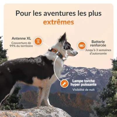 Weenect Tracker GPS XT pour animaux de compagnie pour chien