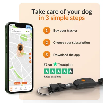 Weenect Pet GPS Dog Tracker XT