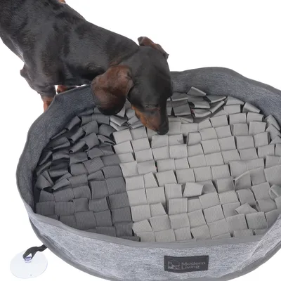 Hund undersøger grå snusemadras med vævet design og Modern Living-logo.