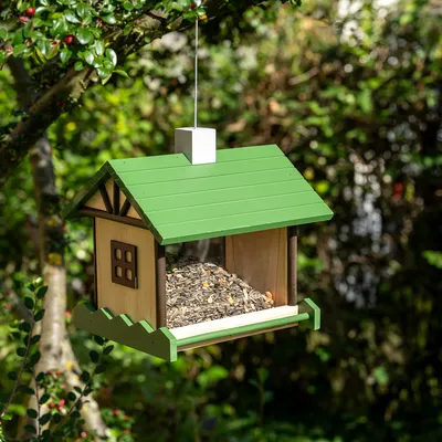 Casetta per uccelli sospesa in legno con tetto verde, riempita di mangime per uccelli. Adatta per nutrire uccelli selvatici in giardino.