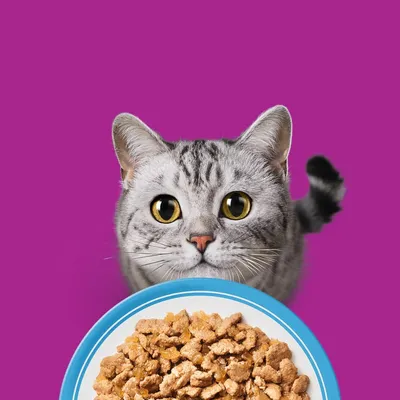 Megapakke Whiskas 1+ Adult porsjonsposer 48 x 85 g