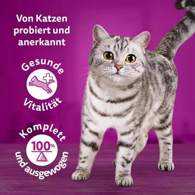 Von Katzen probiert und anerkannt. Gesunde Vitalität. Komplett und ausgewogen, 100%.