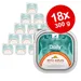 Almo Nature Daily 18 x 300 g - Pack económico