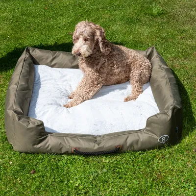 Hund sitzt auf einem olivgrünen Hundebett mit weisser Liegefläche, platziert auf einer grünen Wiese. Seitliche Griffe und Logo sichtbar.