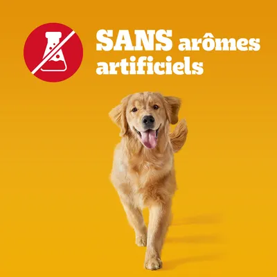SANS arômes artificiels