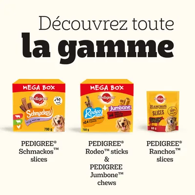 Découvrez toute la gamme Pedigree : Mega Box Schmackos 790 g, Mega Box Rodeo Duos + Jumbone 780 g, Ranchos Slices 60 g. Textes en anglais sur les emballages.