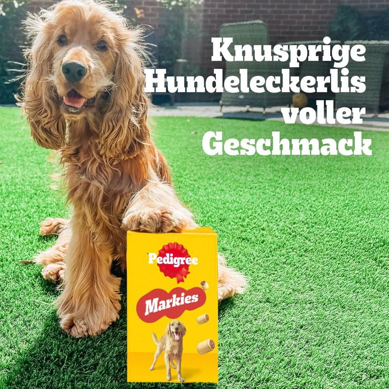 Pedigree Markies