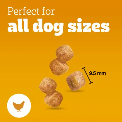Pedigree Tasty Minis - Puppy - Chicken (125g)