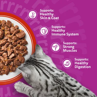 Whiskas 1+ Meaty Meals in Jelly