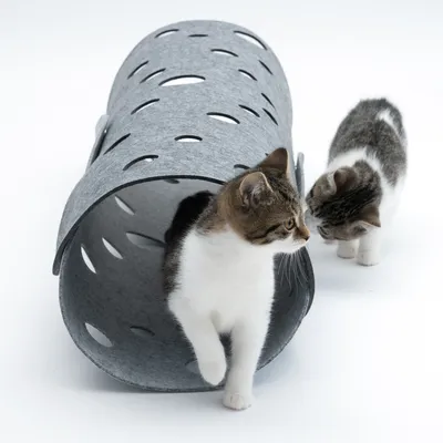 Tunnel pour chat en feutre gris avec trous ronds, un chaton à l’intérieur et un autre à côté. Matériau visible : feutre.