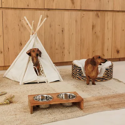Hund in weißem Tipi-Zelt und Hund neben rundem Tierbett mit Zebramuster. Holz-Futternapfhalter mit zwei Edelstahlnäpfen auf Teppich.
