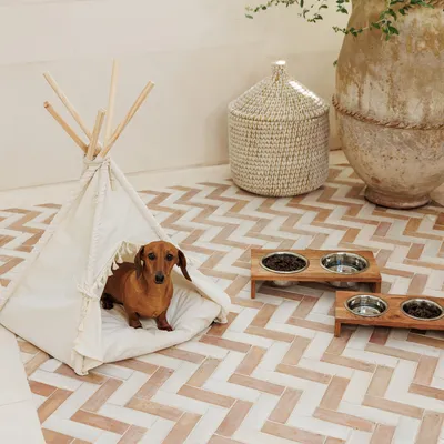 Hund in weißem Tipi-Zelt mit gepolsterter Unterlage, daneben Holzfutterstation mit zwei Edelstahlnäpfen für Futter und Wasser.