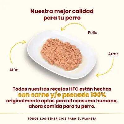 Comida húmeda para perro en plato blanco. Ingredientes señalados: pollo, atún y arroz. Texto: recetas HFC con carne y/o pescado 100 % aptos para consumo humano, ahora comida para tu perro.