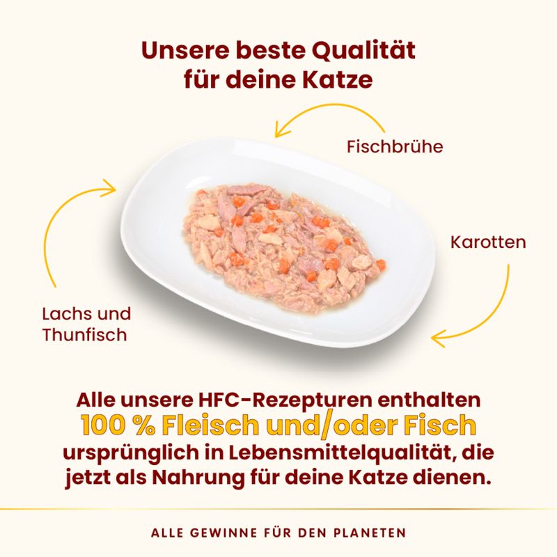Sparpaket Almo Nature HFC Complete 24 x 70 g
