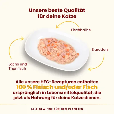 Sparpaket Almo Nature HFC Complete 24 x 70 g