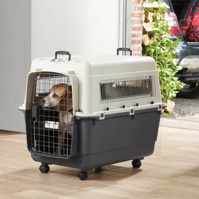 Cage de transport pour chien avec roulettes, porte grillagée en métal, poignées sur le dessus, chien à l’intérieur visible à travers la grille avant.