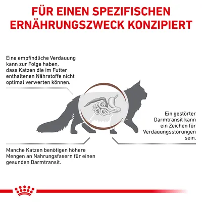 Grafik zeigt Verdauungsprobleme bei Katzen: empfindliche Verdauung, gestörter Darmtransit und Bedarf an mehr Ballaststoffen für gesunden Darm. Text: Für einen spezifischen Ernährungszweck konzipiert.