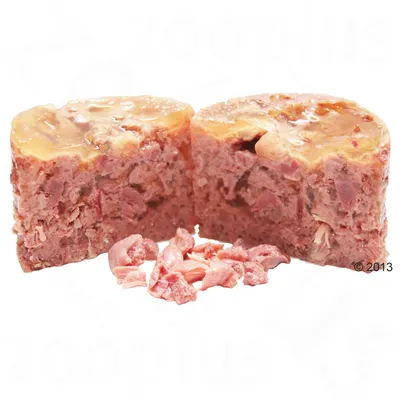 Mokra hrana za kućne ljubimce, prikazana u obliku dvije polovice i nekoliko komadića mesa ispred. Vidljiva je želatinozna površina na vrhu.