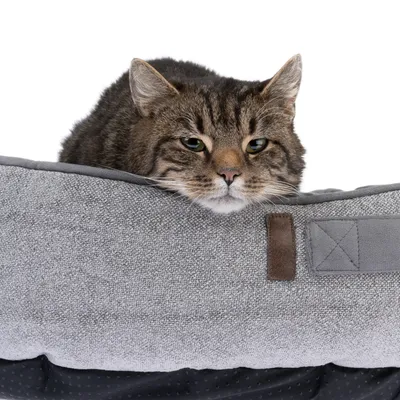 Graues Haustierbett mit Textilbezug und braunen Akzenten, darauf liegt eine getigerte Katze.