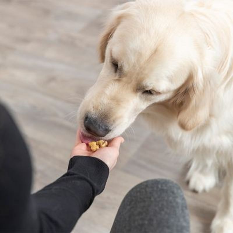 Trixie Bakmat met Botten voor Hondensnacks