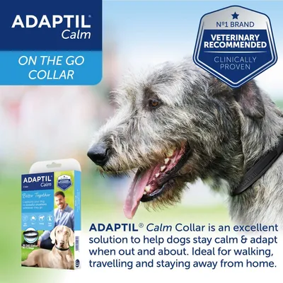 ADAPTIL Calm Collar for dogs, clinically proven and veterinary recommended, helps keep dogs calm and adaptable when out, ideal for walking, travelling and staying away from home.