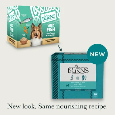 Burns Wild Fish with Carrots & Brown Rice - Bumper Box: 16 x 395g